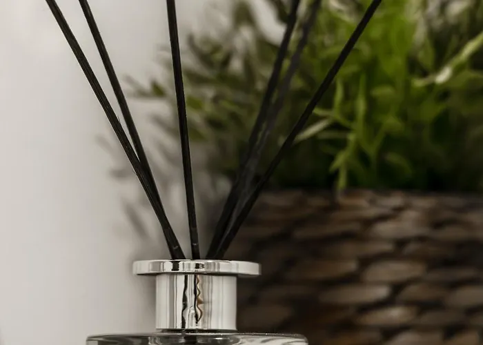 Il Tiro Frühstückspension Bologna